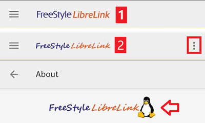 LibreLink Font Check